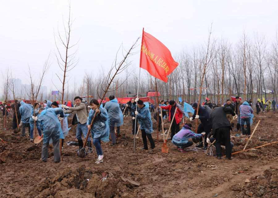 0参加杨叶镇植树活动_0252.jpg